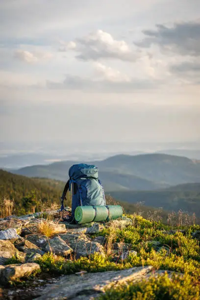 Hiking Essentials: Gear Up for Your Next Trek